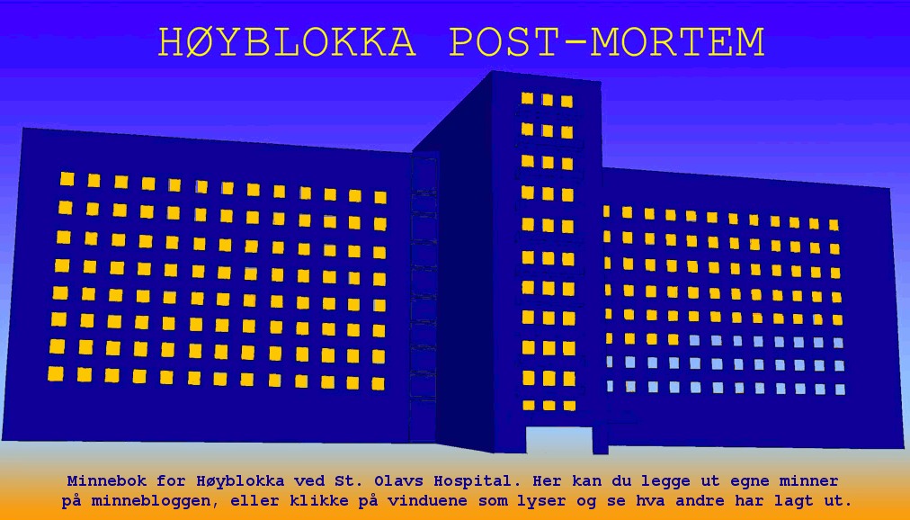Høyblokka post mortem: Klikk på et vindu med lys i